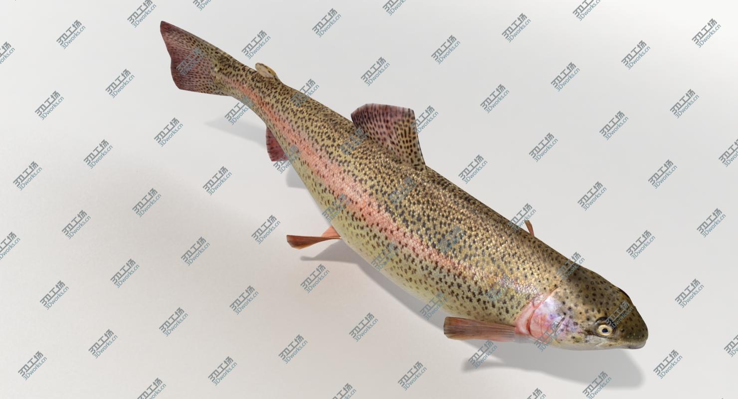 images/goods_img/20210313/Trout (Animated) 3D model/5.jpg